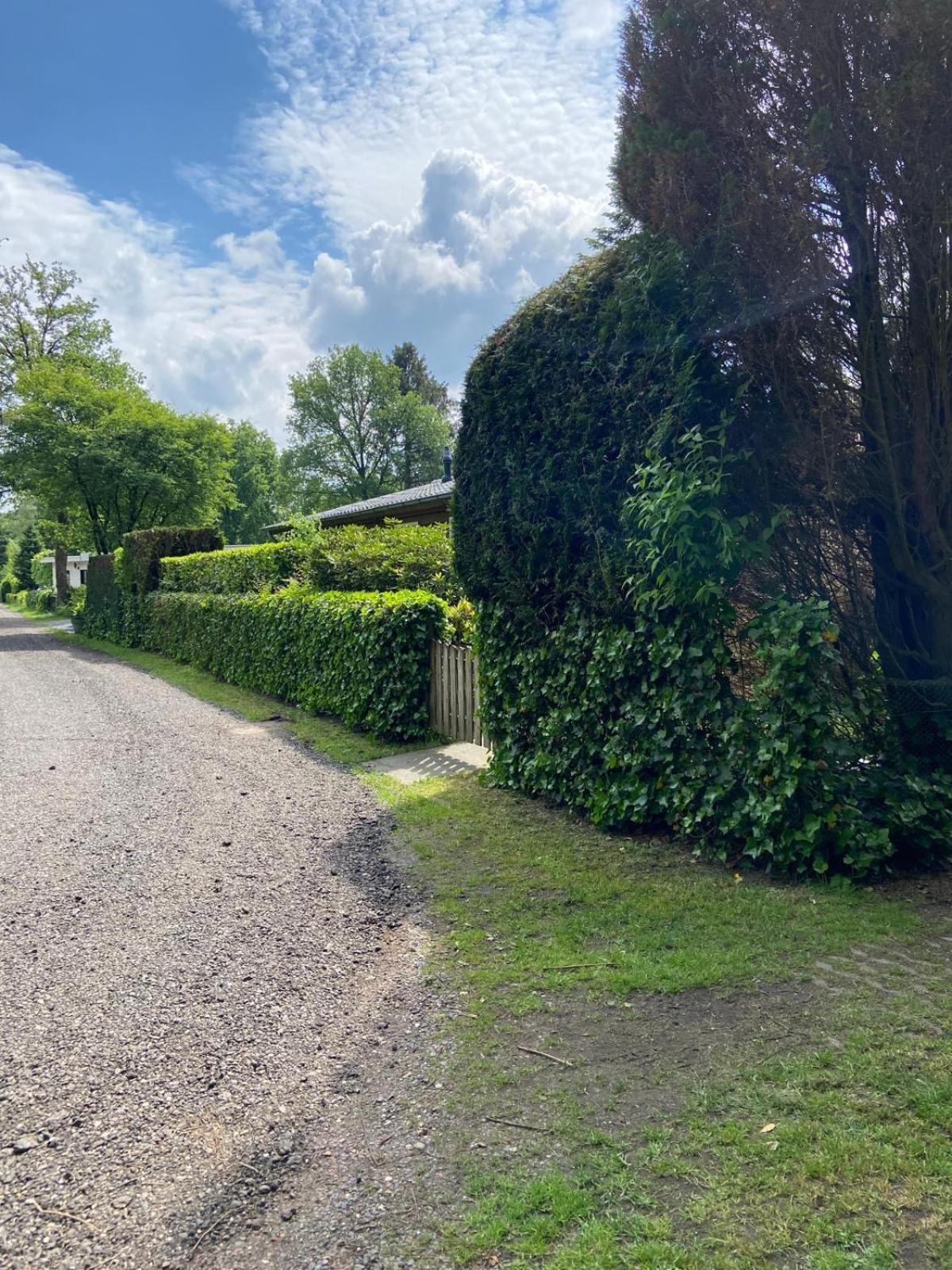 Ruime En Comfortabele Bungalow Aan Bosrand Lage Mierde Buitenkant foto