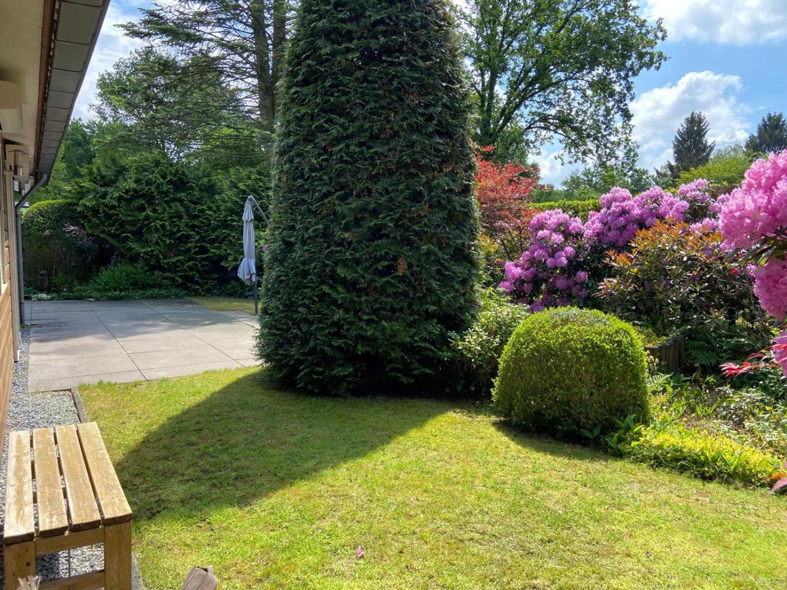 Ruime En Comfortabele Bungalow Aan Bosrand Lage Mierde Buitenkant foto